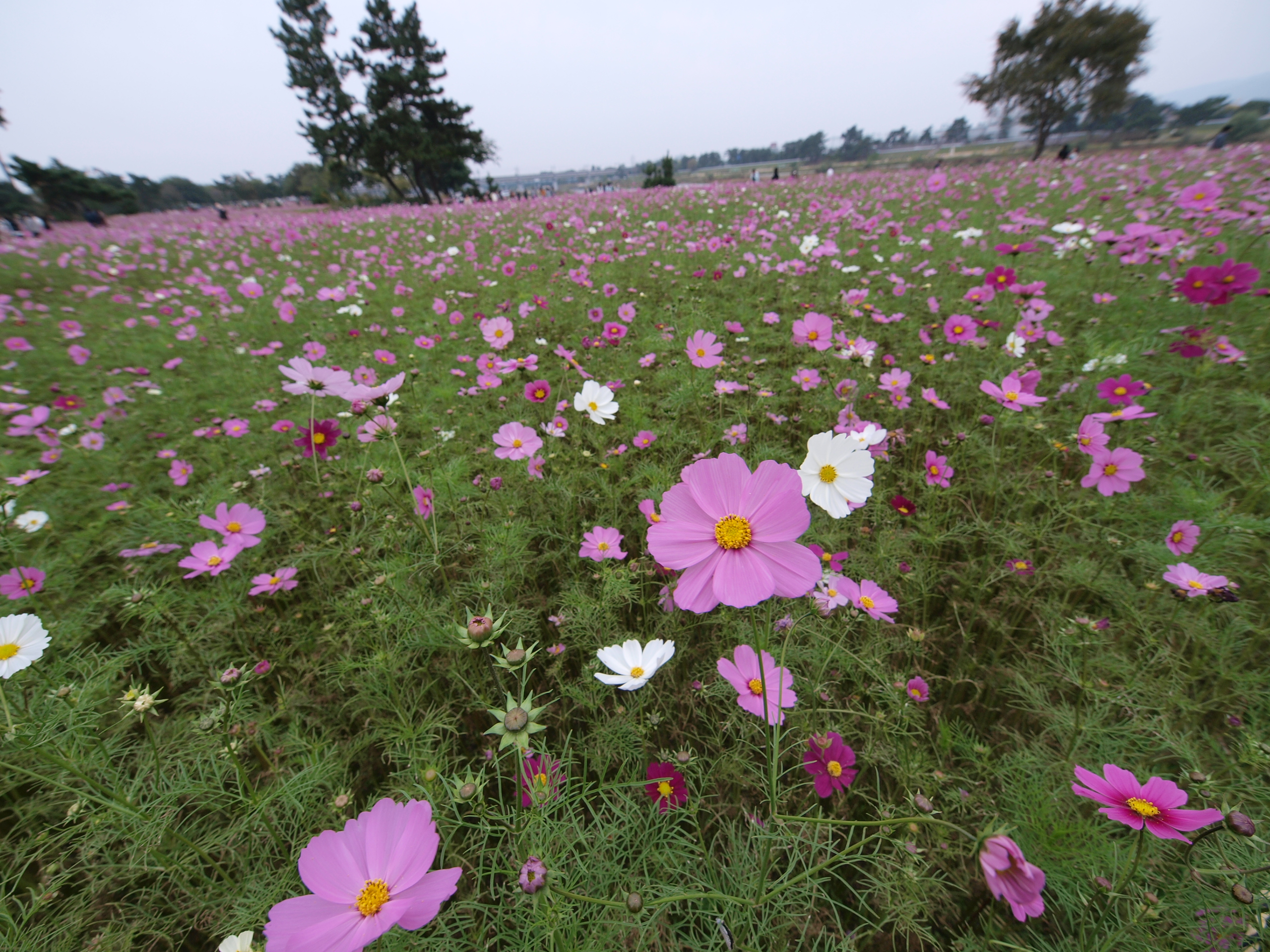 PB032012.JPG